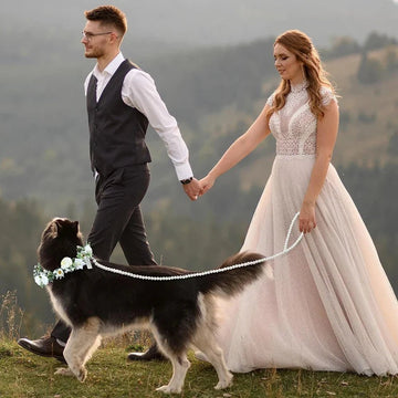 狗狗花環項圈牽繩套裝/ 120cm 珍珠串珠婚禮寵物配飾/ 攝影道具 - WeddLin 輕婚紗