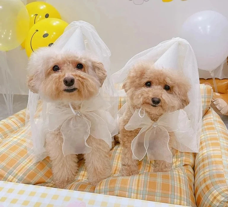 寵物結婚帽子/生日派對狗狗配件帽子飾品/蝴蝶結口水巾/泰迪三角圍巾/蝴蝶結口袋圍脖/圍巾