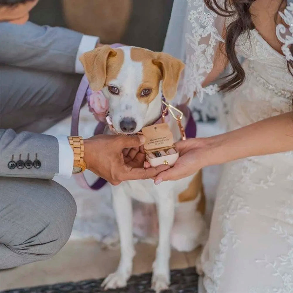 個人化婚禮皮革戒指盒/求婚狗狗項圈戒指盒/訂婚結婚戒指收納盒